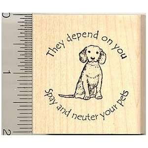  Spay and Neuter Dog Rubber Stamp Arts, Crafts & Sewing