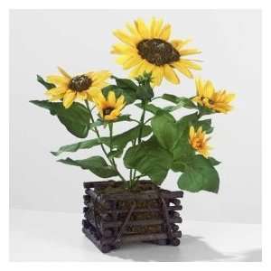  Sunflower In Square Twig Planter (10 Inches)