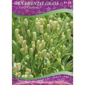  Ornamental Grass   Large Quaking (Annual) Patio, Lawn 