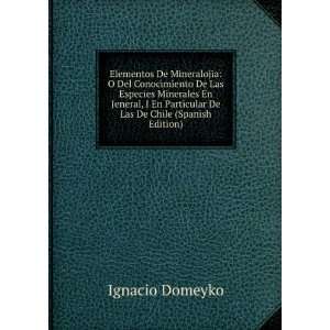   Particular De Las De Chile (Spanish Edition) Ignacio Domeyko Books