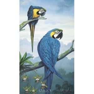  Blue And Gold Macaw By Jules Scheffer Highest Quality Art 