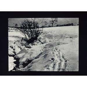  1905 Frozen Brook Winter Snow Tracks Landscape Print 