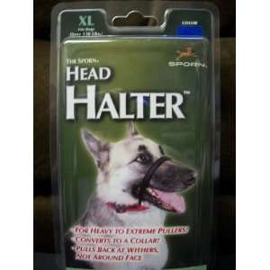  Sporn XL Blue Head Halter for Dogs