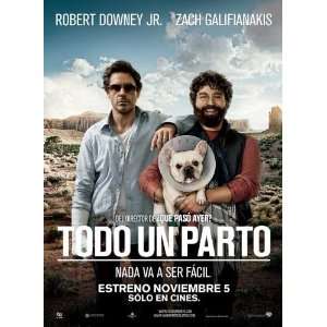  Due Date Poster Movie Columbia (11 x 17 Inches   28cm x 