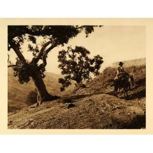  1925 Sierra Nevada Mountains Spain Man Donkey Hielscher 