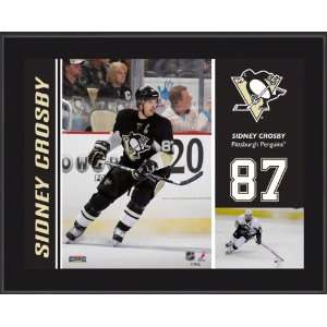  Sidney Crosby Pittsburgh Penguins Sublimated 10x13 Plaque 
