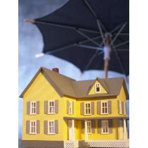  Conceptual Design of a Play House under an Umbrella 