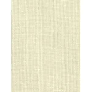  Shimadzu Ivory by Robert Allen Contract Fabric