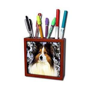  Dogs Sheltie/Shetland Sheepdog   Sheltie   Tile Pen 