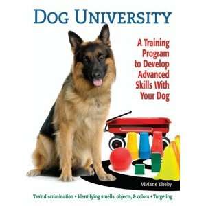   Advanced Skills with Your Dog [Paperback] Viviane Theby Books