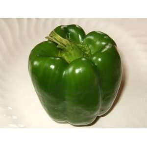  Parks Whopper Improved Sweet Pepper   4 Plants Patio 
