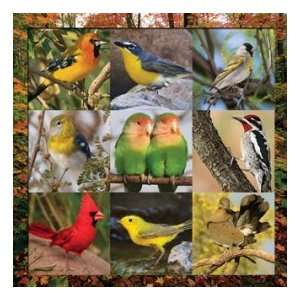    Songbird Symphony   500pc Jigsaw Puzzle by Springbok Toys & Games