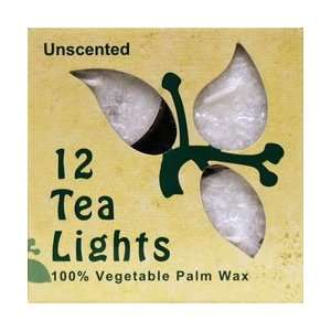   Lights Unscented White Candles   12   Candle