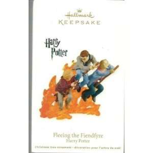  Fleeing the Fiendfyre Harry Potter 2011 Hallmark Ornament 