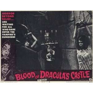  Blood of Draculas Castle   Movie Poster   11 x 17