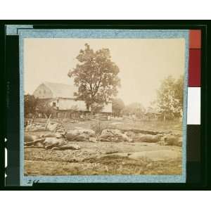  Dead horses of Bigelows (9th Massachusetts) Battery