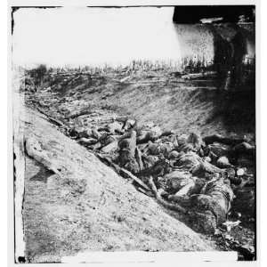  Civil War Reprint Antietam, Maryland. Dead soldiers in ditch 