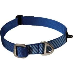  Ruffwear Double Back Dog Collar   Blue S