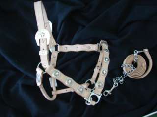   WESTERN LITE oil leather SHOW HORSE HALTER RODEO star SILVER LEAD