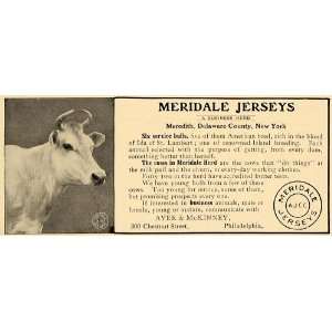   Jersey Cows Bulls Ayer McKinney   Original Print Ad