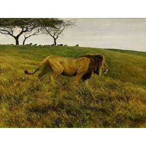  Robert Bateman   Lion and Wildebeest