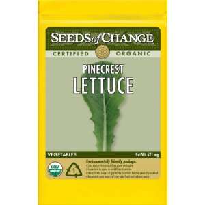   of Change S22638 Certified Organic Pinecrest Green Romaine Lettuce