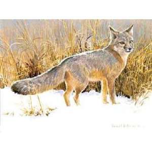  Robert Bateman   Swift Fox