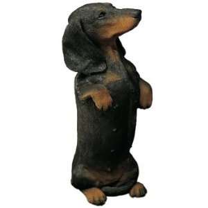  Dachshund   Smooth, Black   by Sandicast