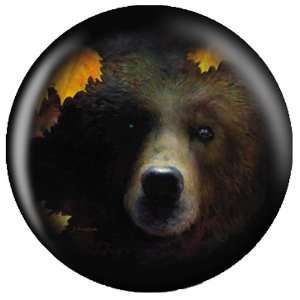  OnTheBallBowling Nature Grizzly Bear