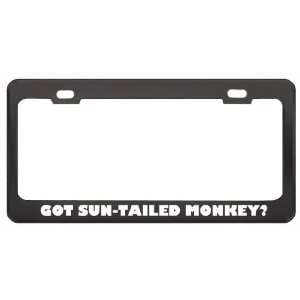   Monkey? Animals Pets Black Metal License Plate Frame Holder Border Tag