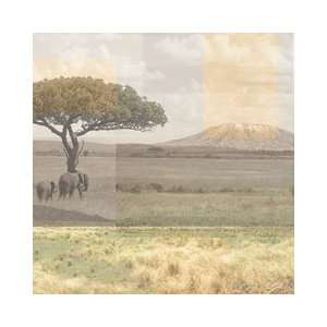  Paper House Productions   Africa Collection   12 x 12 