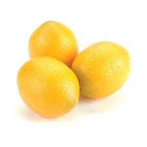  Darice Big Value Decorative Fruit 18/Pkg 60mm Lemons 