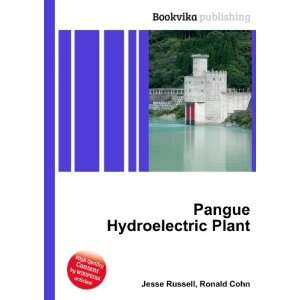  Pangue Hydroelectric Plant Ronald Cohn Jesse Russell 