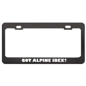 Got Alpine Ibex? Animals Pets Black Metal License Plate Frame Holder 