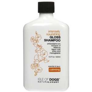  Intensely Nourishing Gloss Shampoo (Quantity of 2) Health 