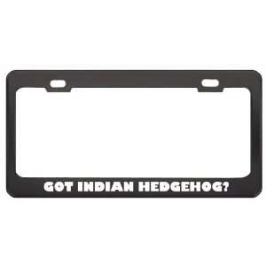 Got Indian Hedgehog? Animals Pets Black Metal License Plate Frame 