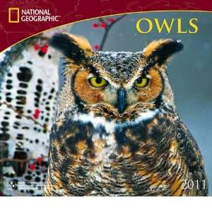  Owls National Geographic 2011 Wall Calendar Office 