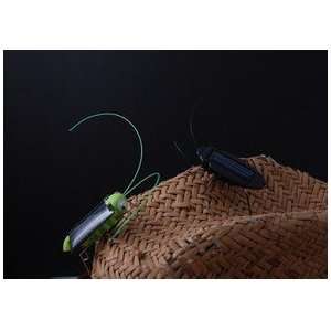  discount solar grasshopper promotional price Toys & Games