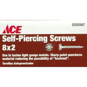  Gilmour ACE SELF PIERCING SCREWS Slotted hex washer head 