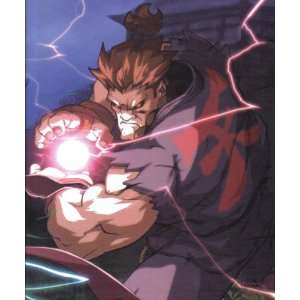   Protection Street Fighter 4 Pocket Binder Ryu vs. Akuma Toys & Games