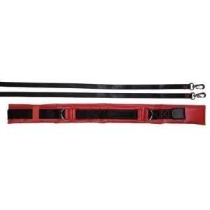  Spotting & Training Belt   Large   Red