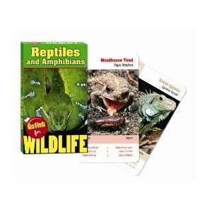  Reptiles and Amphibians Go Fish for Wildlife Toys & Games