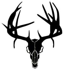  Western Recreation Ind Buck Skull W/Drop Tines 6X6 Sports 