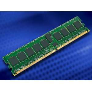  1GB DDR2 667MHz/PC2 5300 ECC Unbuffered Electronics