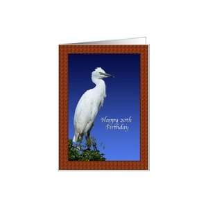  20th Birthday Card with Immature Cattle Egret Card Toys & Games