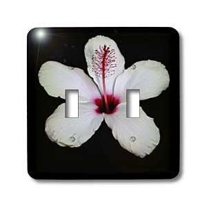   hibiscus, hibiscus rosa sinensis, plant, plants   Light Switch Covers