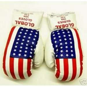  Kids Youth Boxing Gloves w/ American Flag Sports 