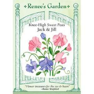    Sweet Pea   Knee High Jack & Jill Seeds Patio, Lawn & Garden