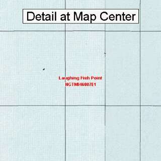  USGS Topographic Quadrangle Map   Laughing Fish Point 