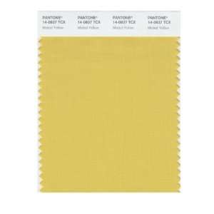  SMART 14 0837X Color Swatch Card, Misted Yellow